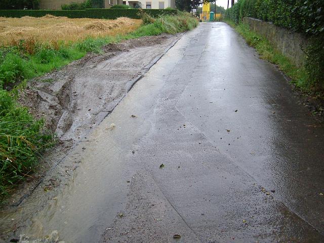 2004_0812_191344 (8).JPG - Rhönweg (ehemaliger Salinger Weg) im alten Verlauf - Blickrichtung: Süden